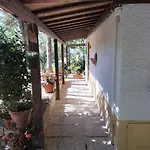 Marcella Casa *