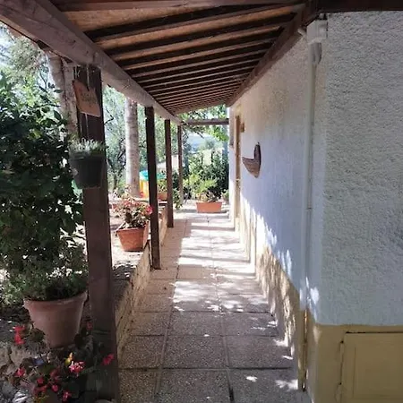 Marcella Casa *