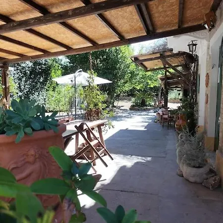 Marcella Casa *
