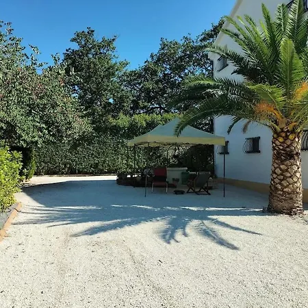 Marcella Casa