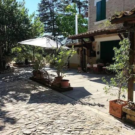 Marcella Casa