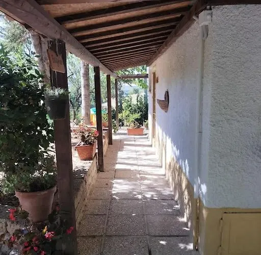Marcella Casa *