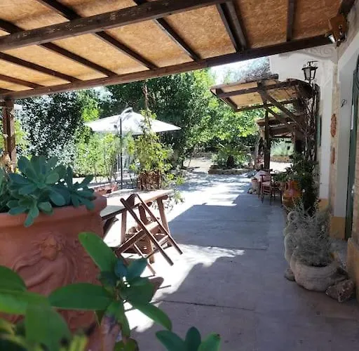 Marcella Casa *